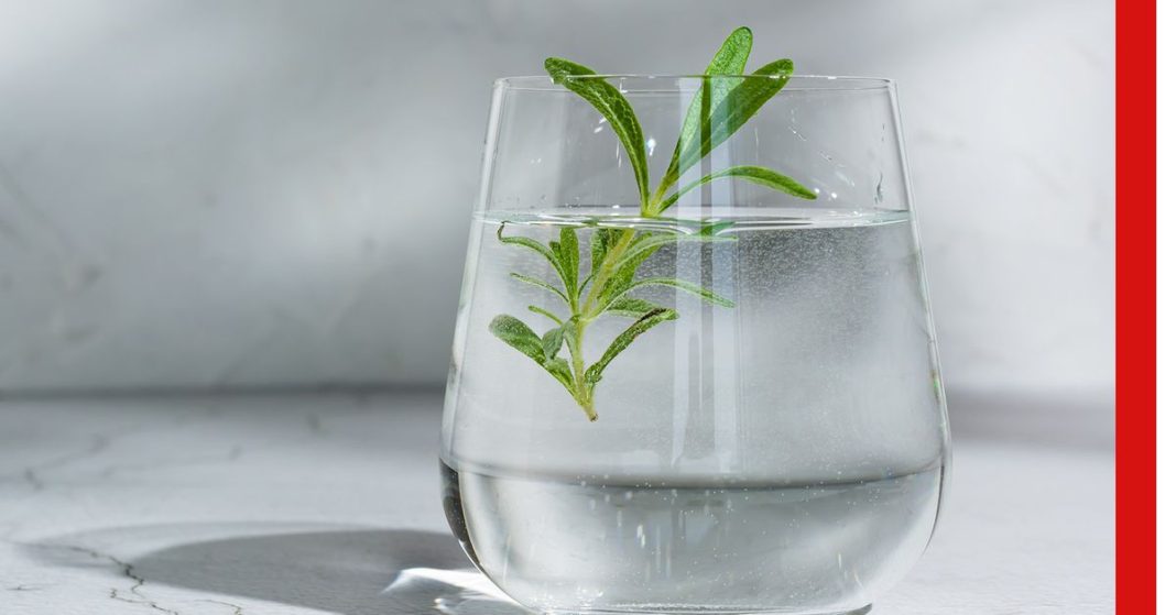 add-rosemary-to-your-water