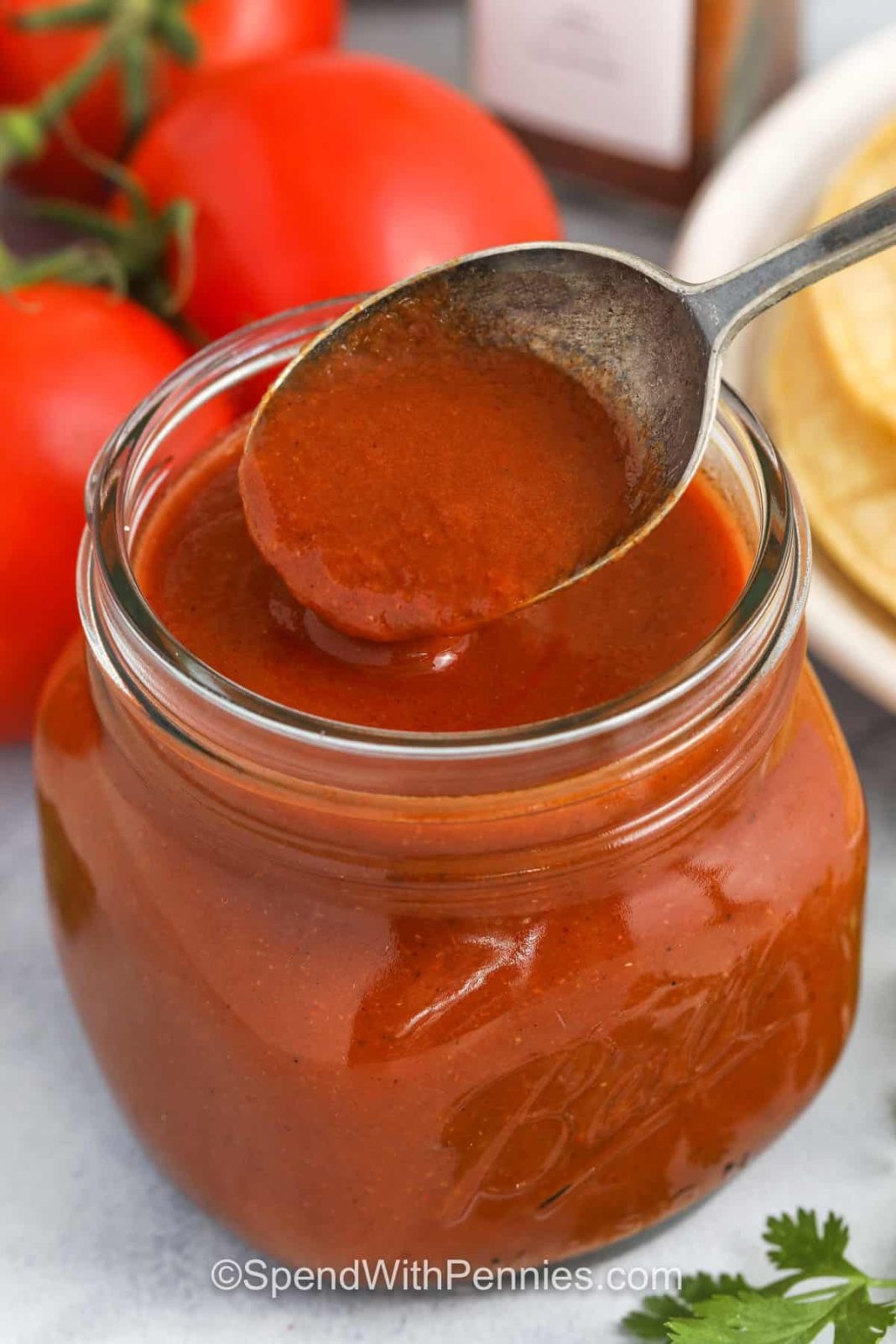 smoky,-savory-red-enchilada-sauce