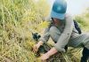 Regenerating Land and Nourishing People: How Playa Venao Is Rebuilding Health From the Soil Up
